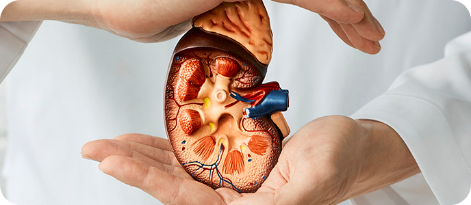 À̹ÌÁö